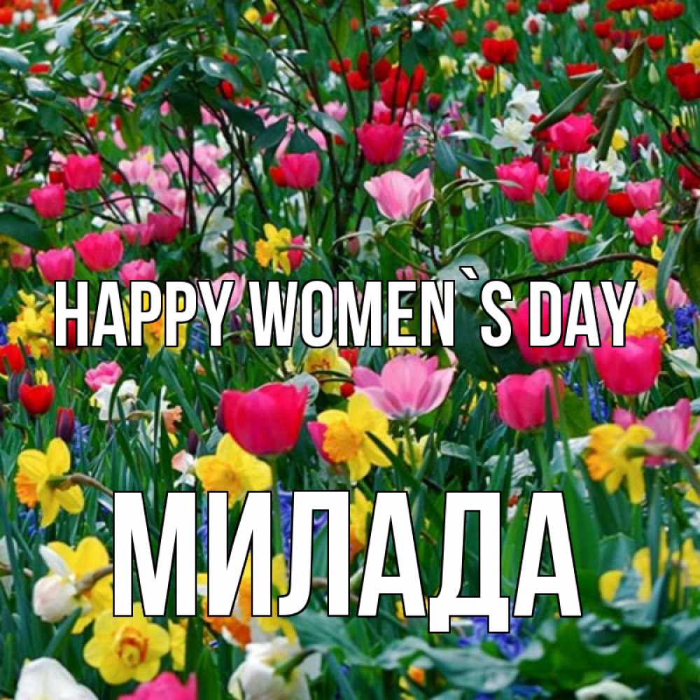 Greetings card с именем, Милада happy women`s day с международным женским днем поздравления для женщины Greetings with text for free download 